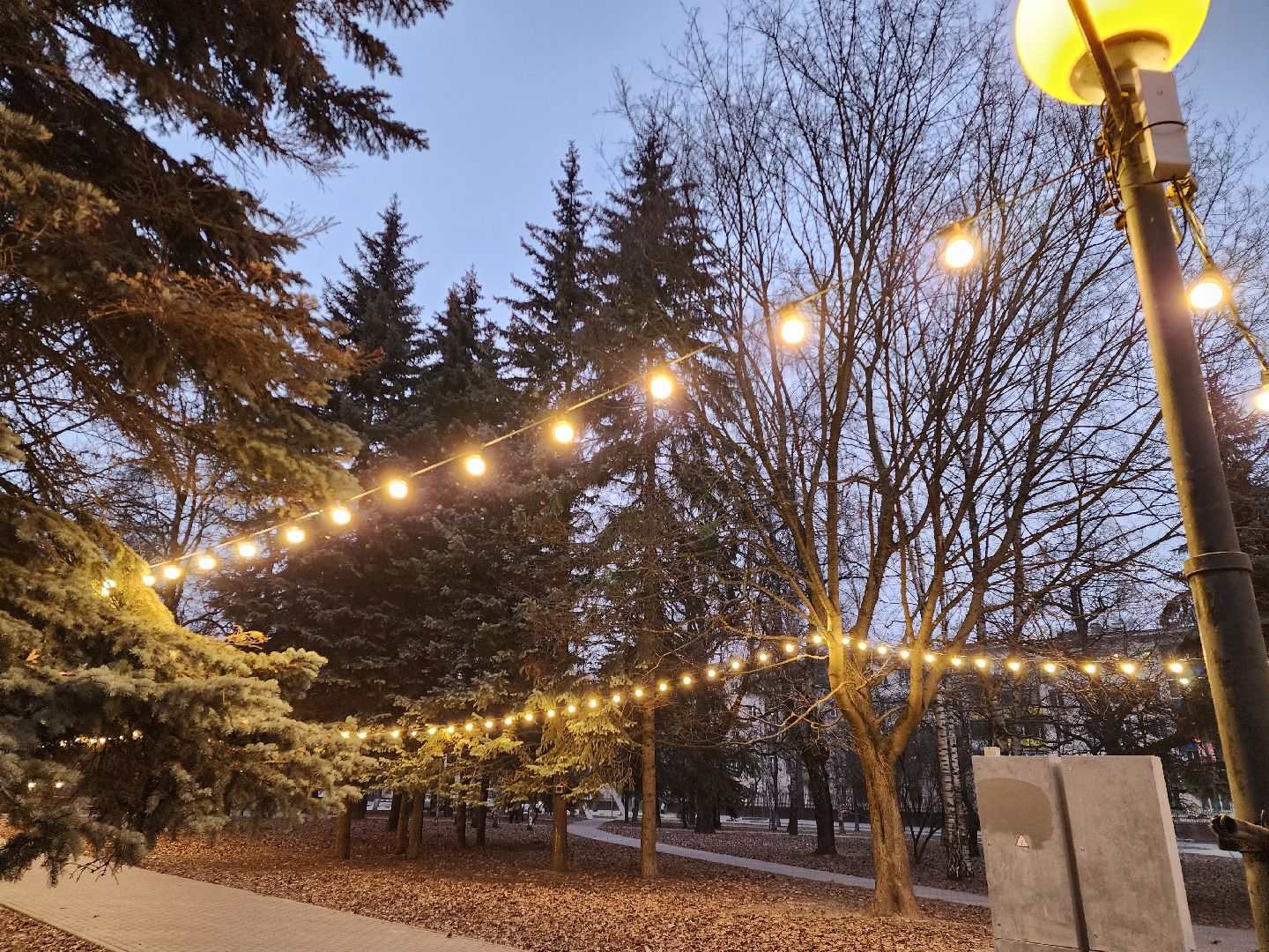 Новыйгод, химки, подмосковье,