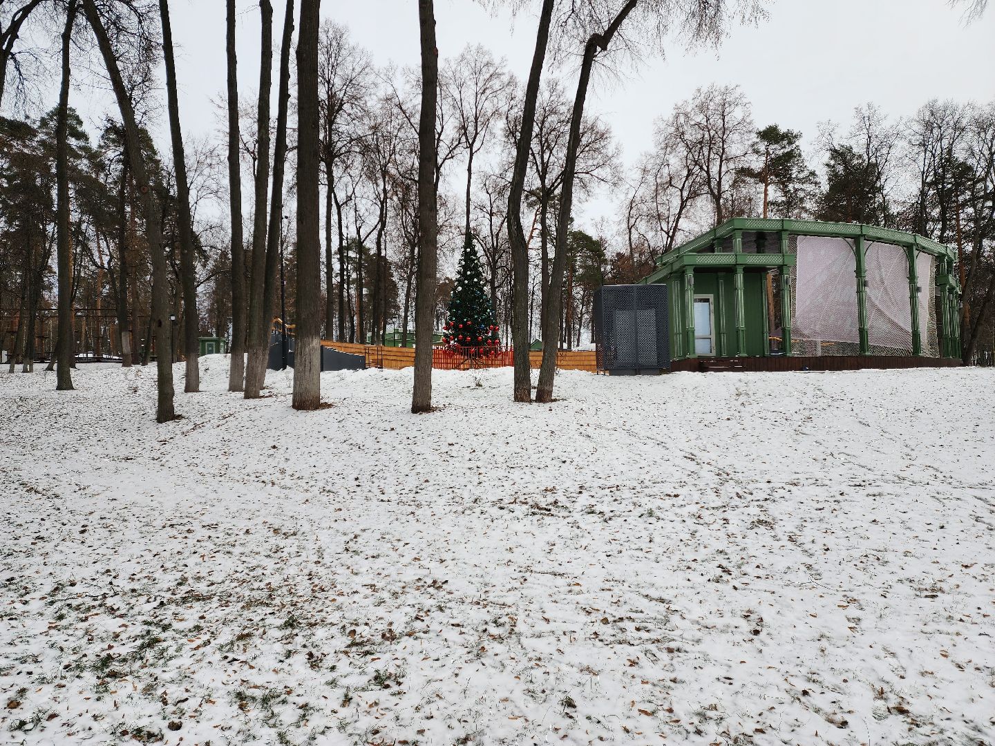 Раменское, благоустройство, раменский городской парк, новогодняя ель,