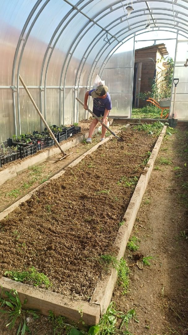 социальный контракт, многодетная семья,