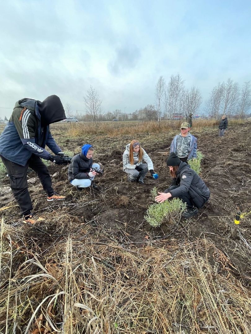 социальный контракт, многодетная семья,