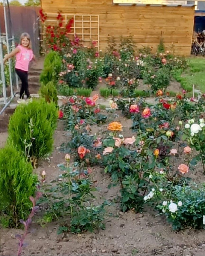 социальный контракт, многодетная семья,