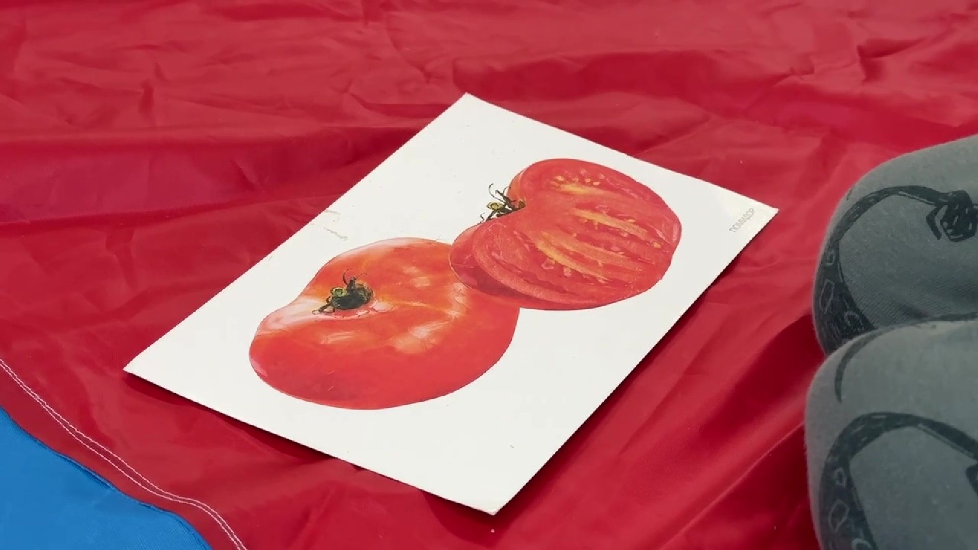 Реутов, образование, логопедия, логоритмика, речь, коррекция,