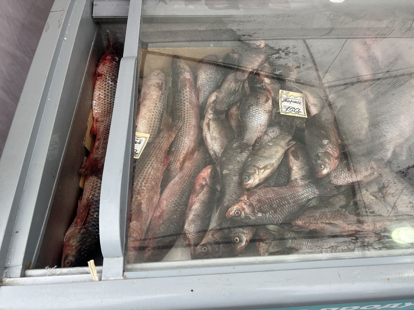 Солнечногорск, Продукция, Ветстанция, Лаборатория, Исследование,