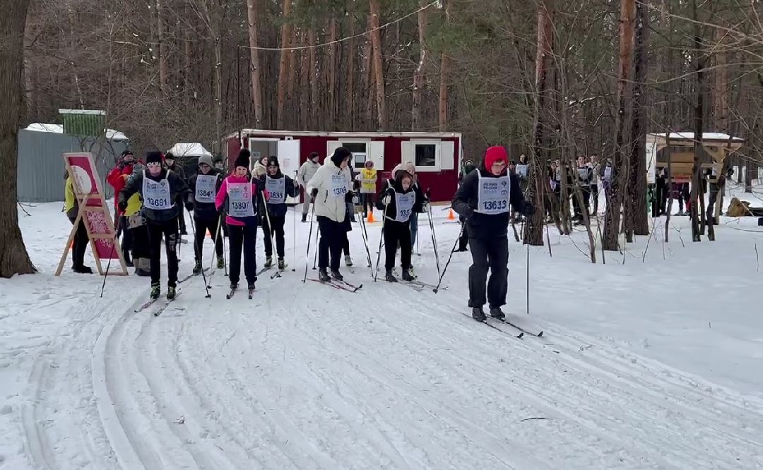 Дзержинский, ГТО, лесопарк Томилинский, Подмосковье