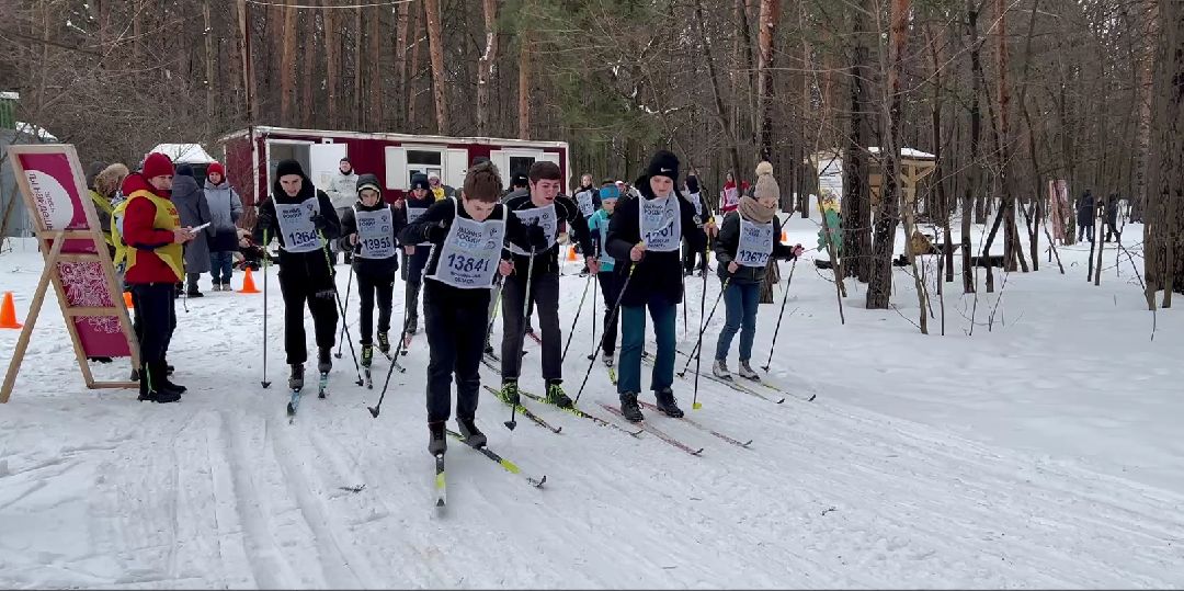 Дзержинский, ГТО, лесопарк Томилинский, Подмосковье