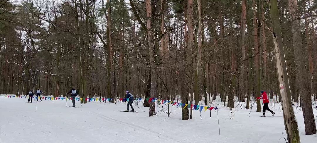 Дзержинский, ГТО, лесопарк Томилинский, Подмосковье
