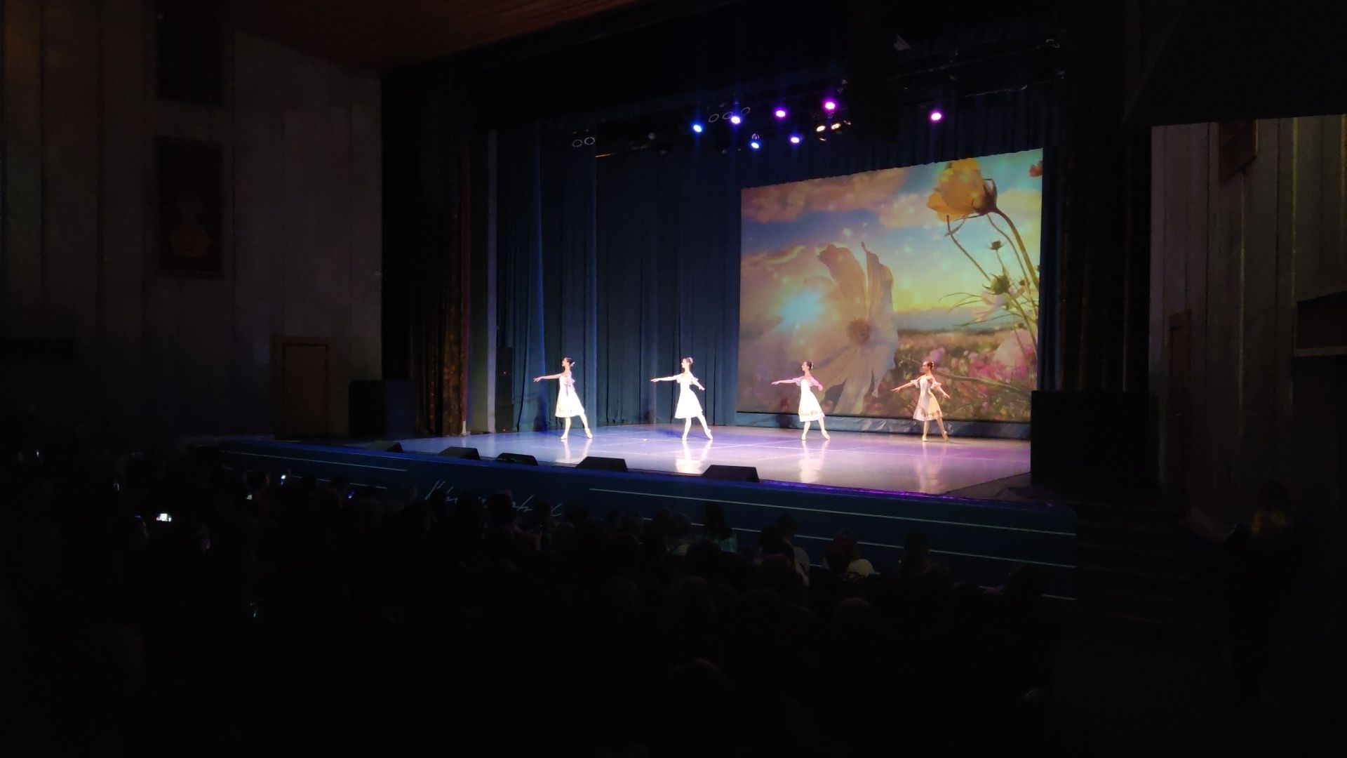 красногорск, день матери, концерт,