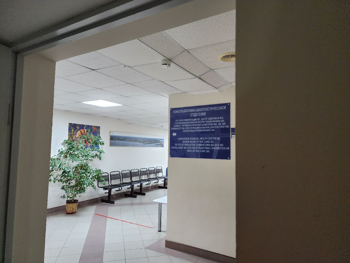 Антибиотики, Лекарства, Прием таблеток, Поликлиника, Новый врач, Терапевт, Дубна, дубненская больница,