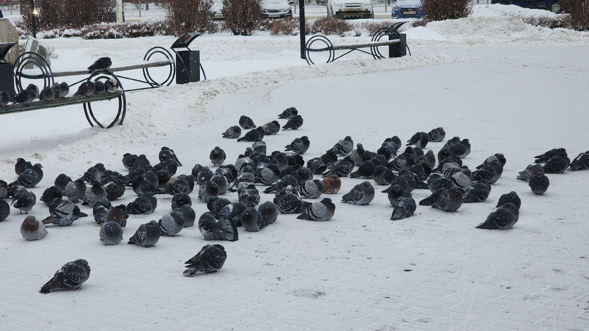 Егорьевск, снег, дворник, дворники, дети, детская площадка,