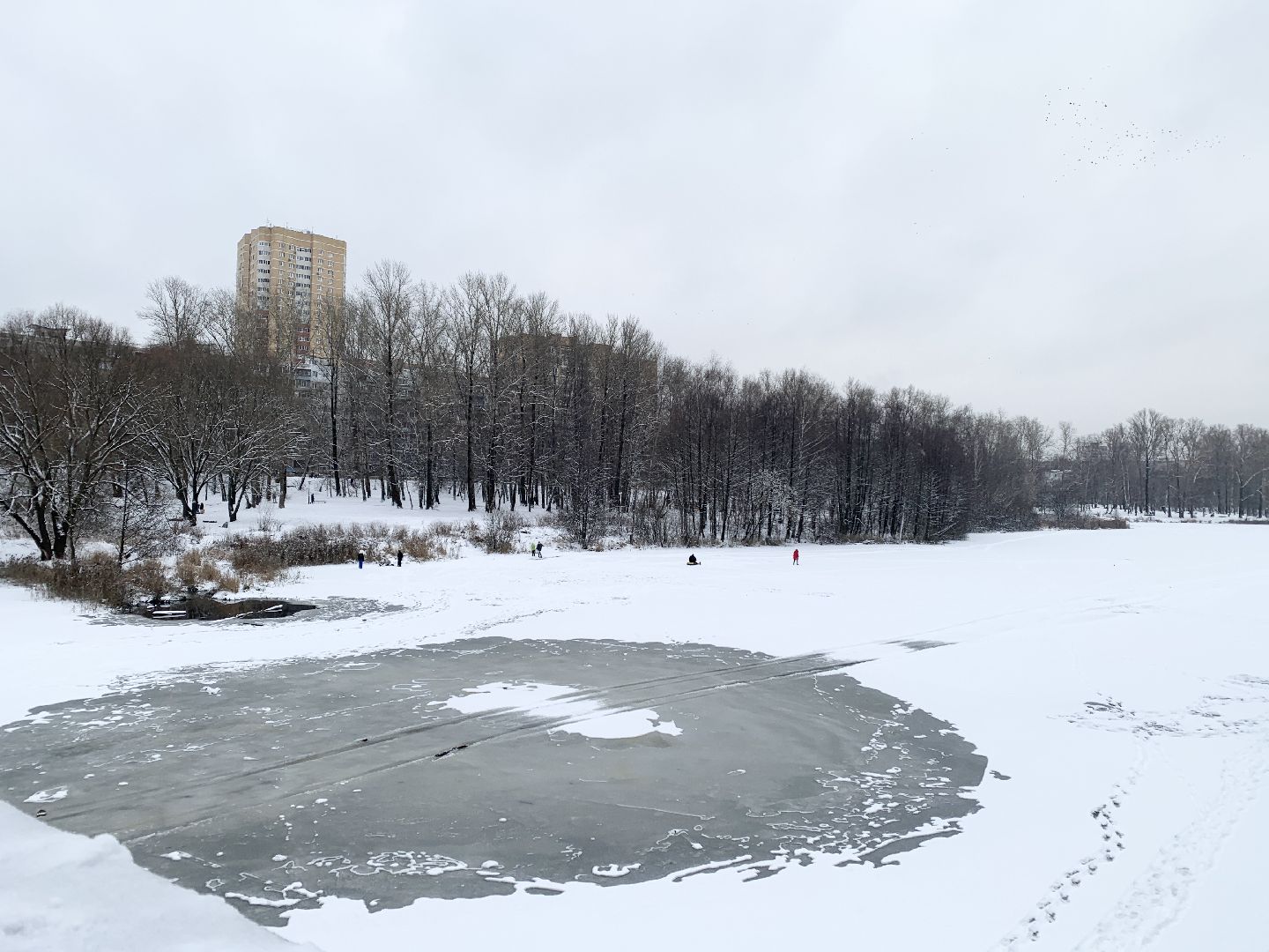 Балашиха, Подмосковье, Общество, тонкий лед, Мособлпожспас, Рейды на водоемах, Река Пехорка,