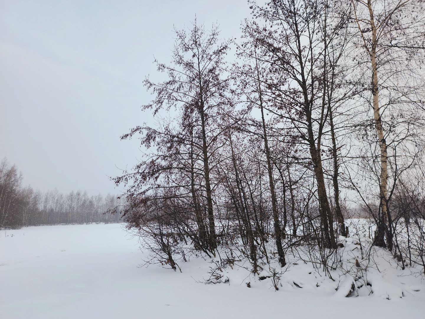 шатура, карьеры, первй лед, рыбалка, зимняя рыбалка, первая,