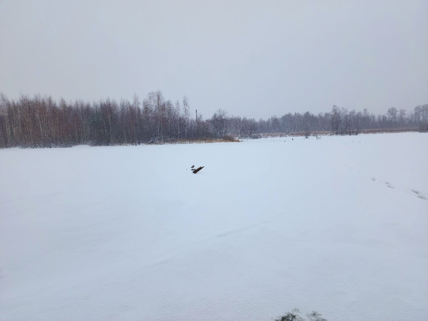 шатура, карьеры, первй лед, рыбалка, зимняя рыбалка, первая,