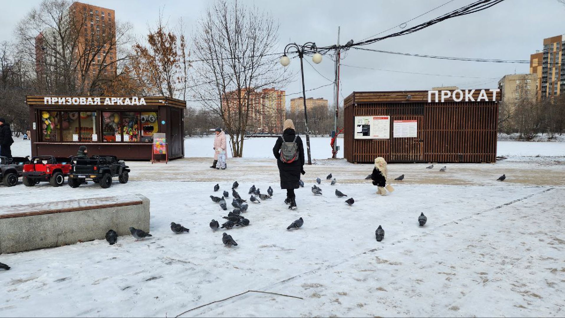 люберцы, по просьбам жителей,Наташинский парк,