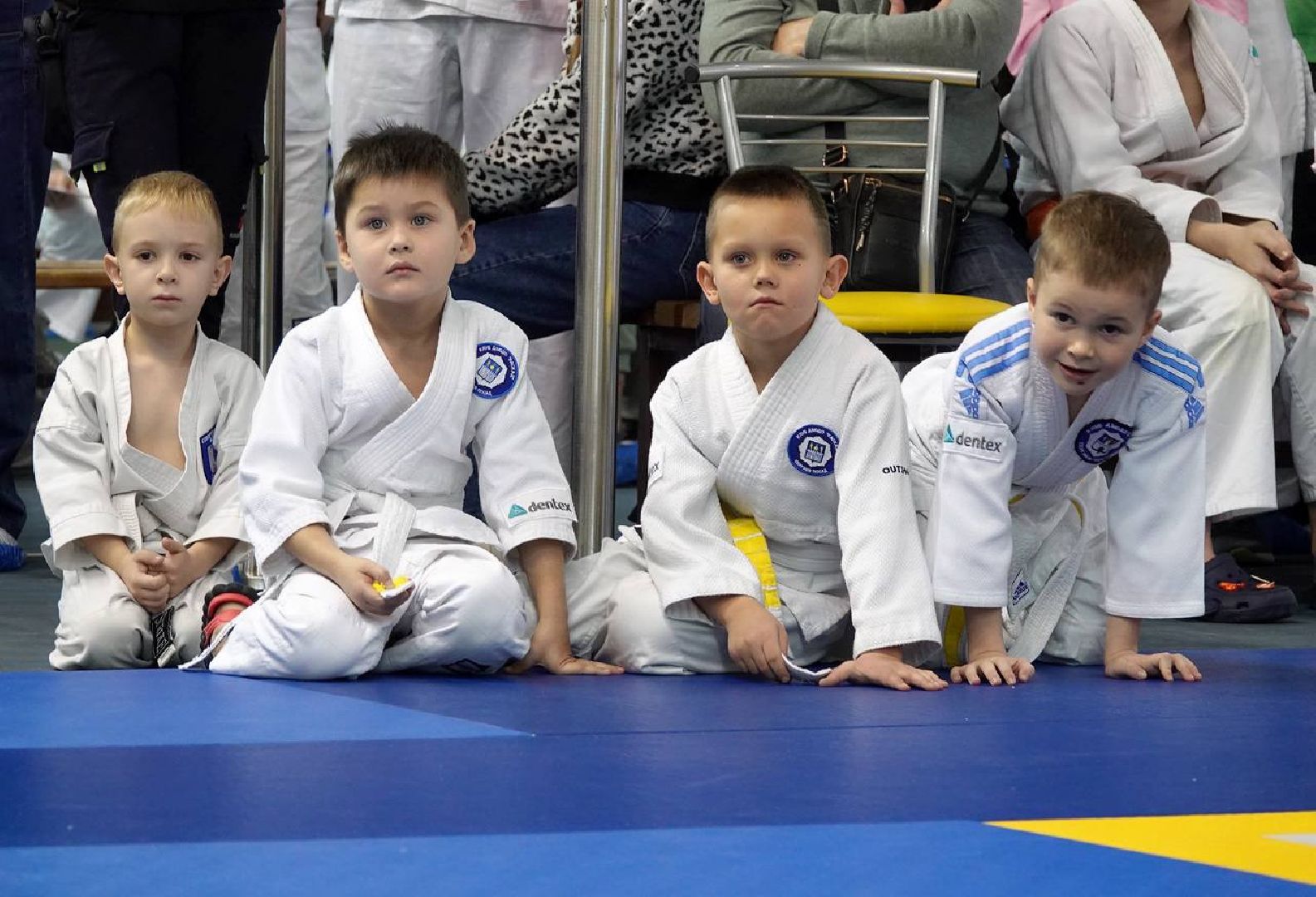 Сергиев Посад, Фестиваль дзюдо, Дзюдо, Семья дзюдо, спорт, ЗОЖ, Спортсмены, Дети, Родители,
