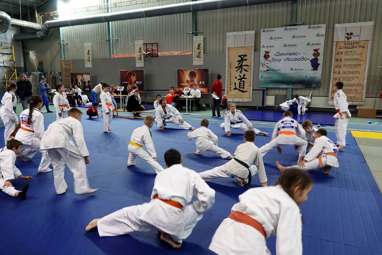Сергиев Посад, Фестиваль дзюдо, Дзюдо, Семья дзюдо, спорт, ЗОЖ, Спортсмены, Дети, Родители,