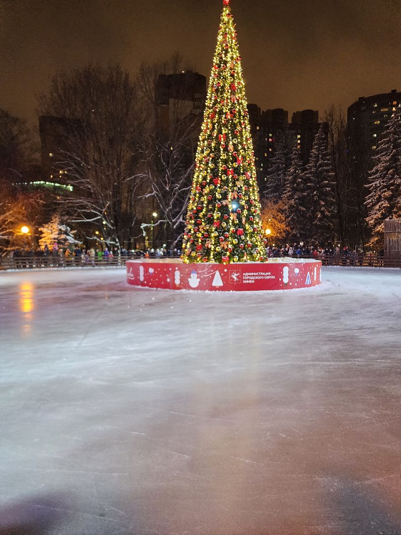 Химки, новыйгод, подмосковье,