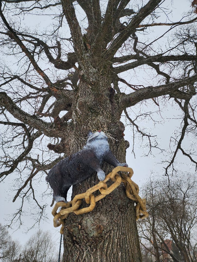 Парк, лукоморье, парки подмосковья, руза, рузский городской округ, московская область, подмосковье,