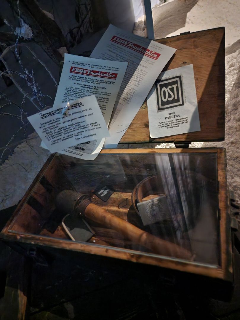 зоя, музеиподмосковья, Петрищево, рузский городской округ, руза, московская область, подмосковье, экскурсии,