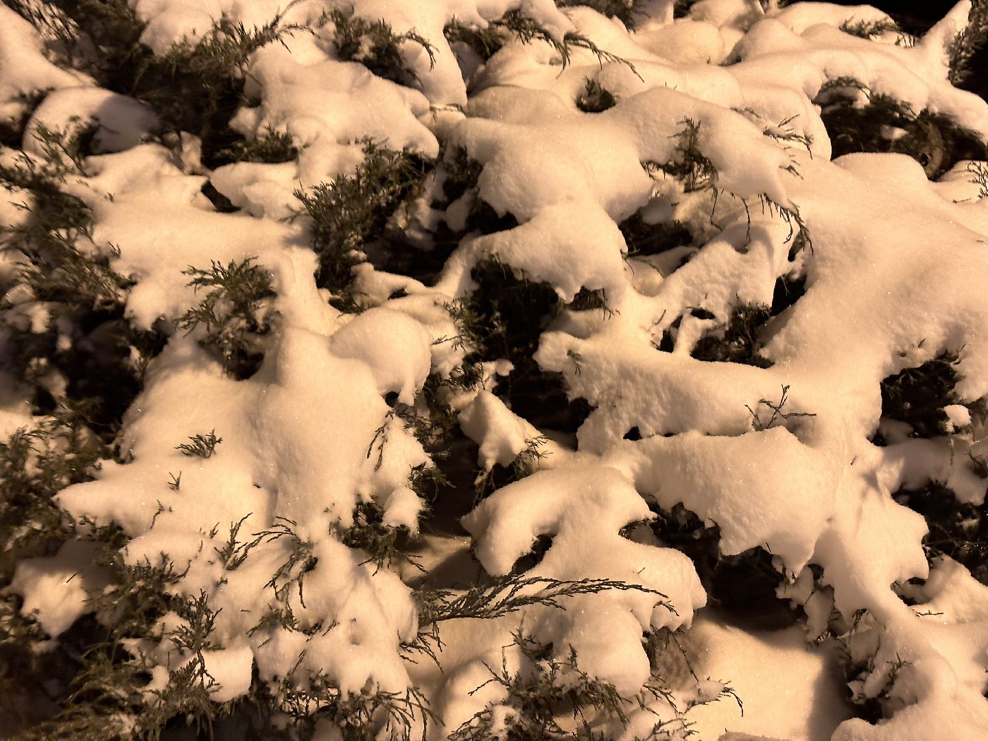 Одинцово, Черная метель, зима в подмосковье, дороги подмосковья,