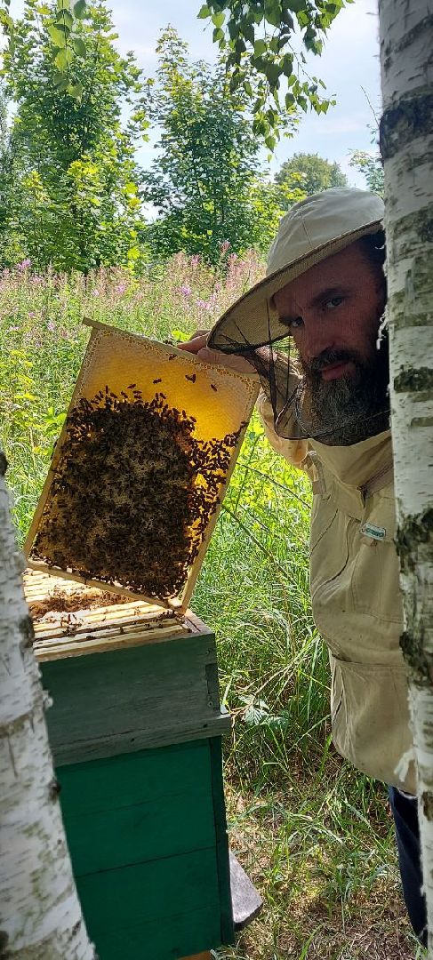 многодетная семья,