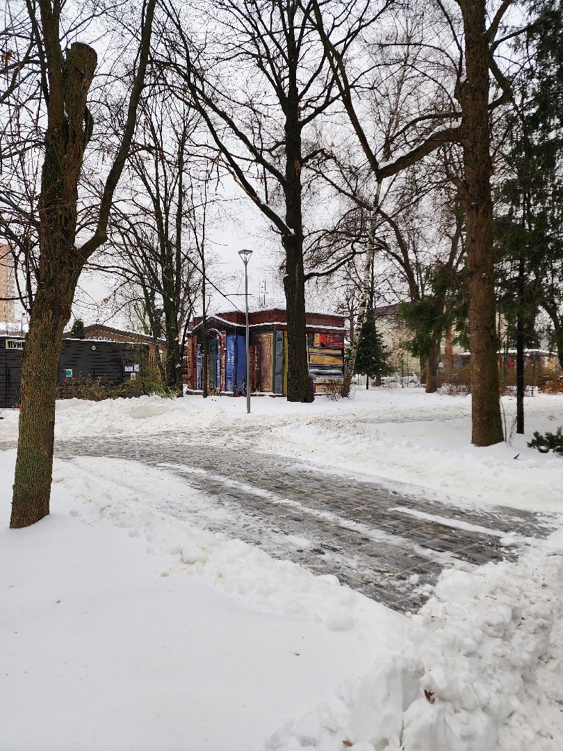 Новый год, Химки, Парки,