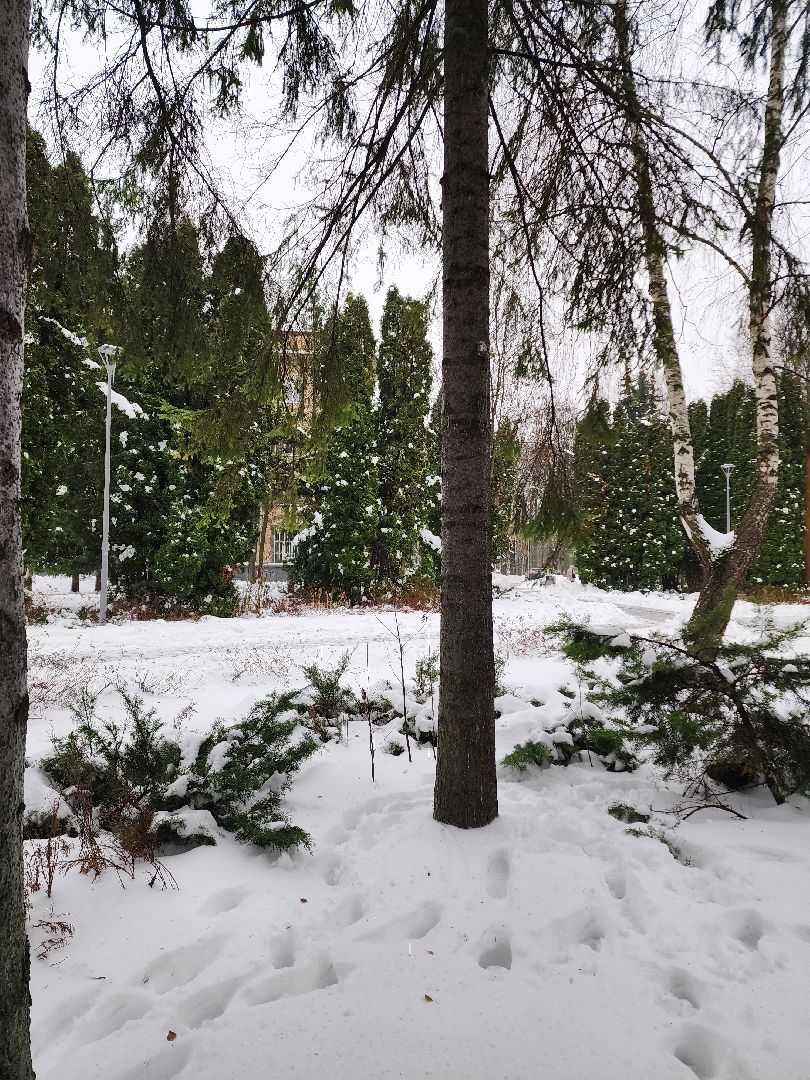 Новый год, Химки, Парки,