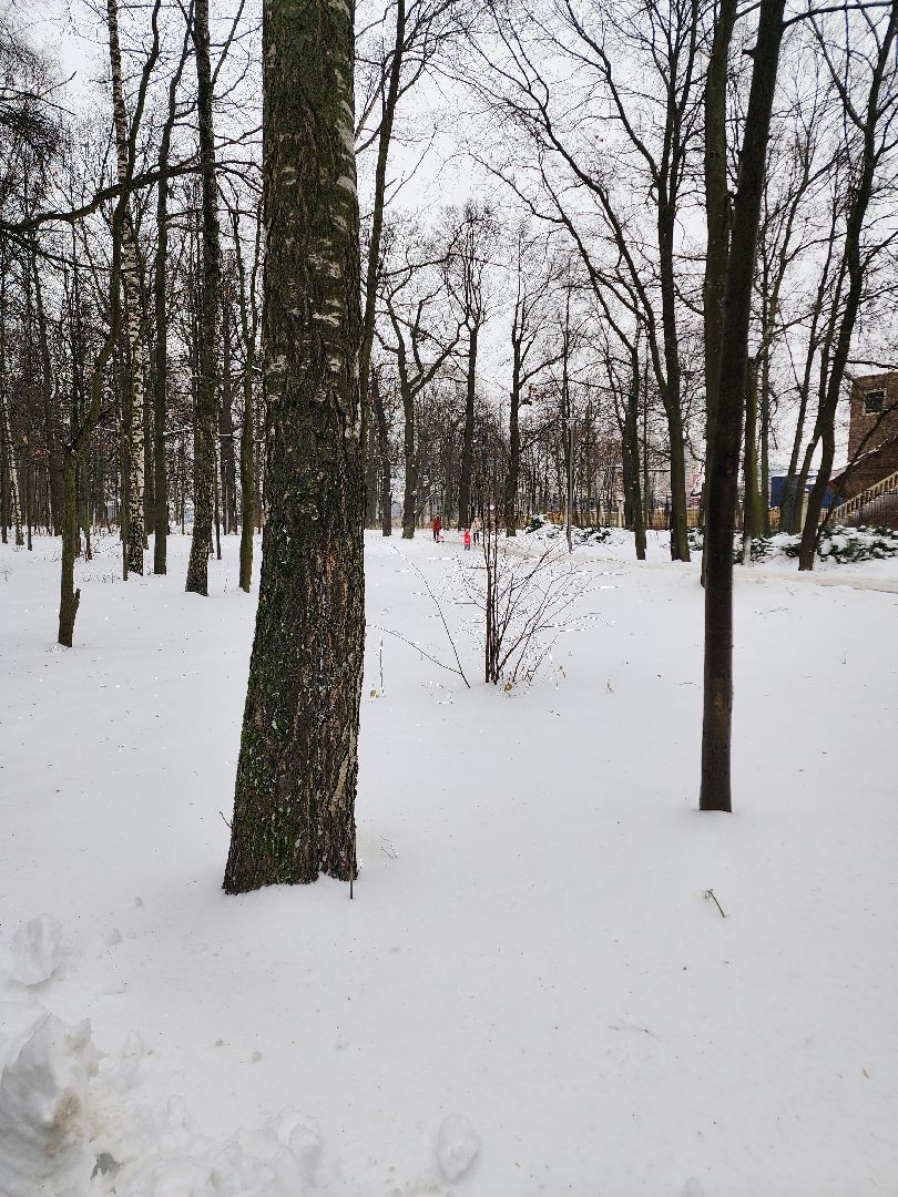 Новый год, Химки, Парки,