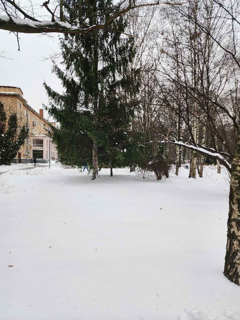 Новый год, Химки, Парки,