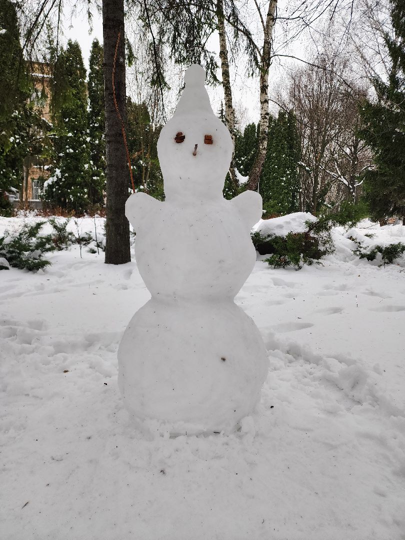 Новый год, Химки, Парки,