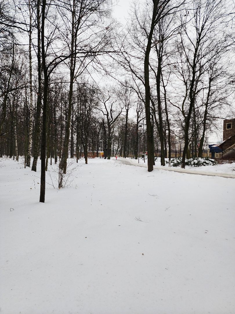 Новый год, Химки, Парки,