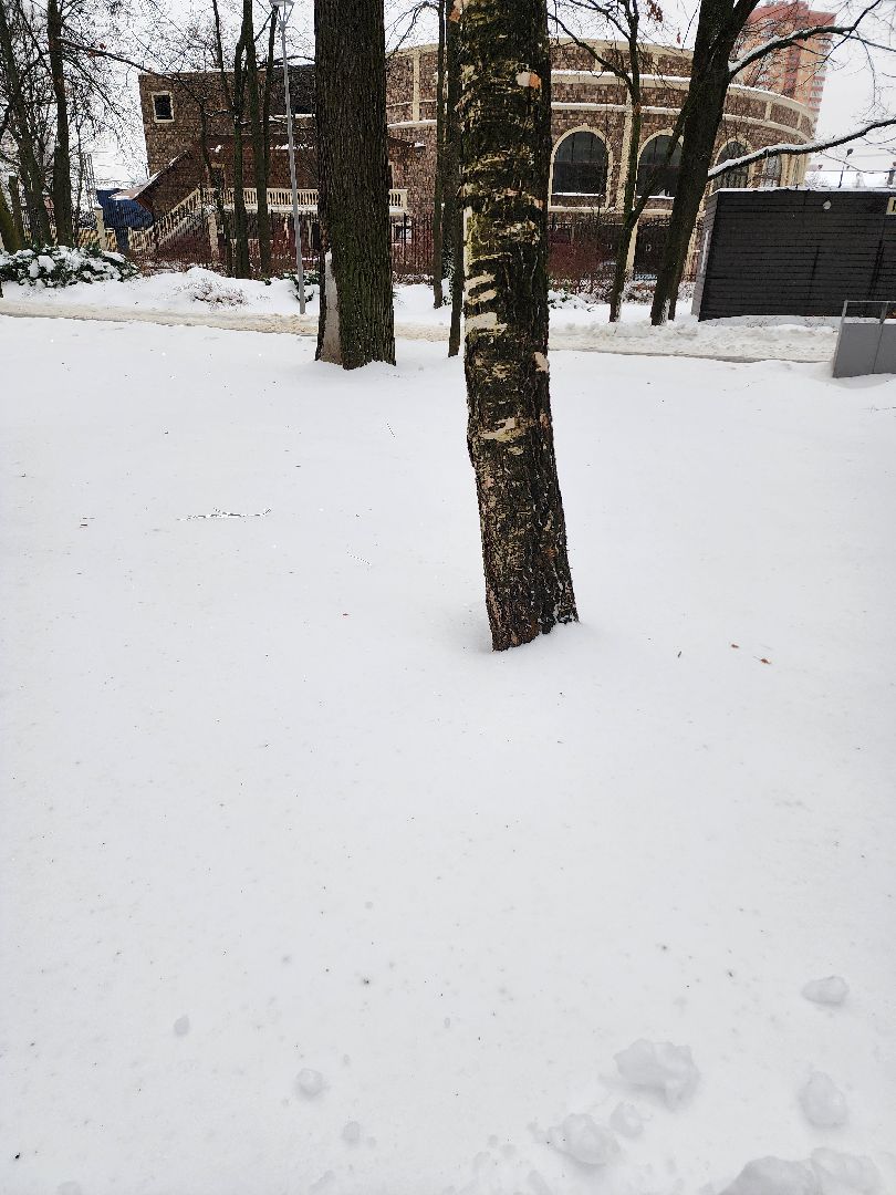 Новый год, Химки, Парки,