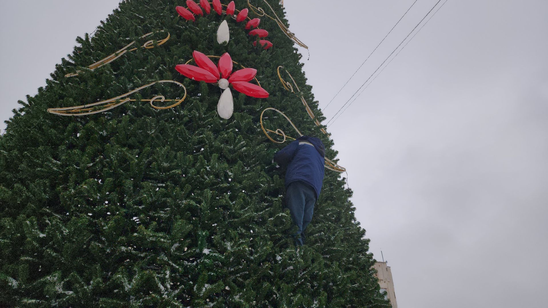 ЗимавПодмосковье, ЗимавПодмосковье2024, руза, рузский городской округ, подмосковье, московская область, новый год,