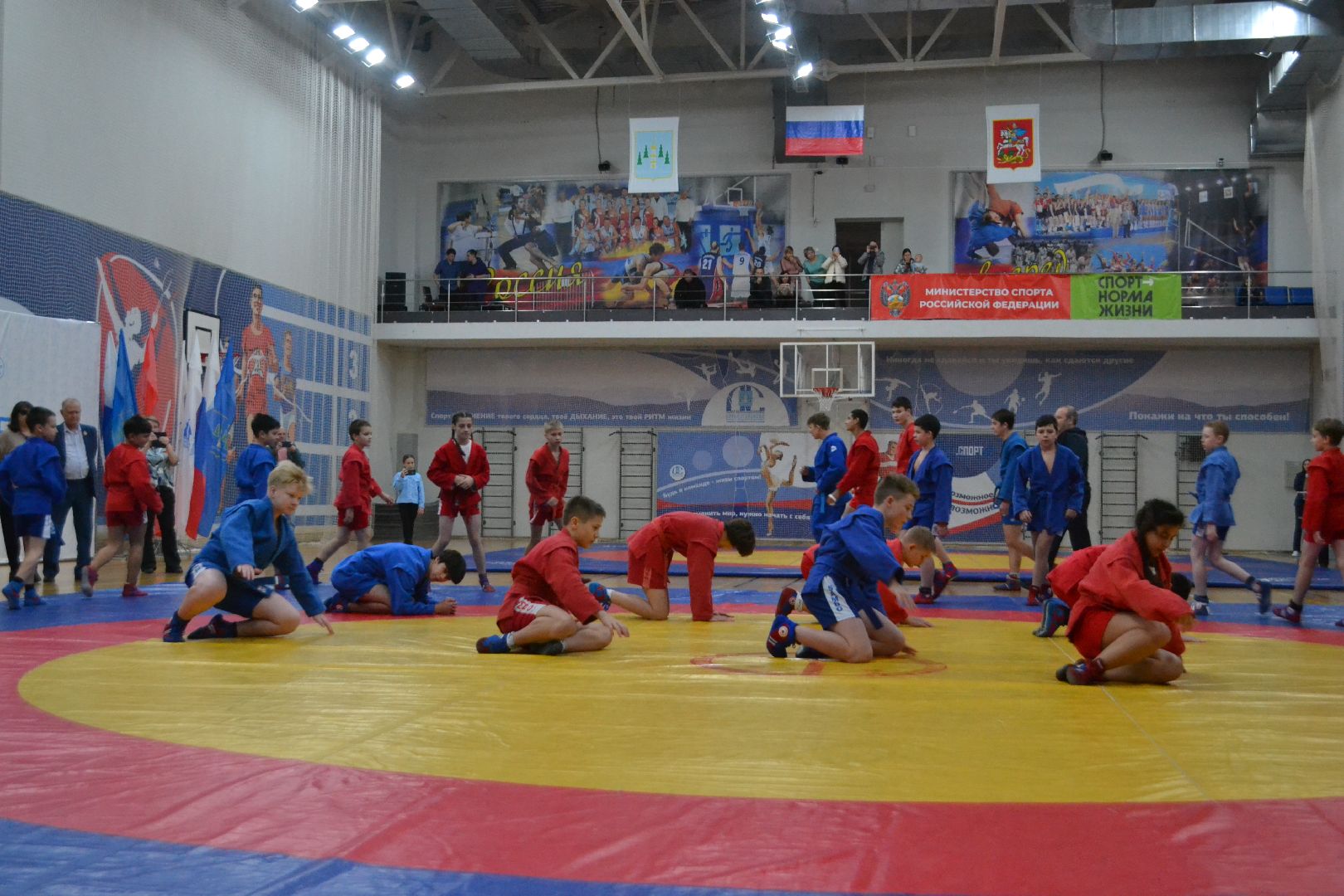 раменское, спорт, спорткомплекс борисоглебский, фестиваль к 85-летию самбо,