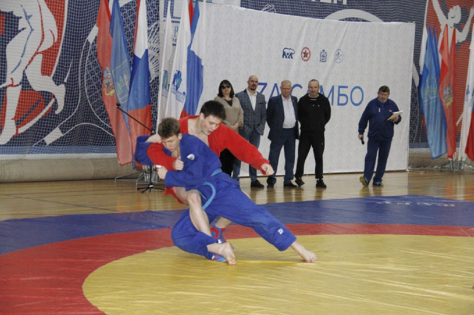 раменское, спорт, спорткомплекс борисоглебский, фестиваль к 85-летию самбо,