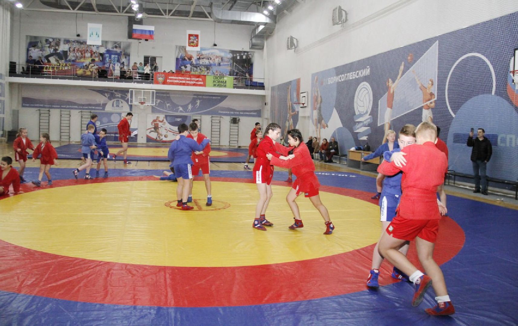 раменское, спорт, спорткомплекс борисоглебский, фестиваль к 85-летию самбо,