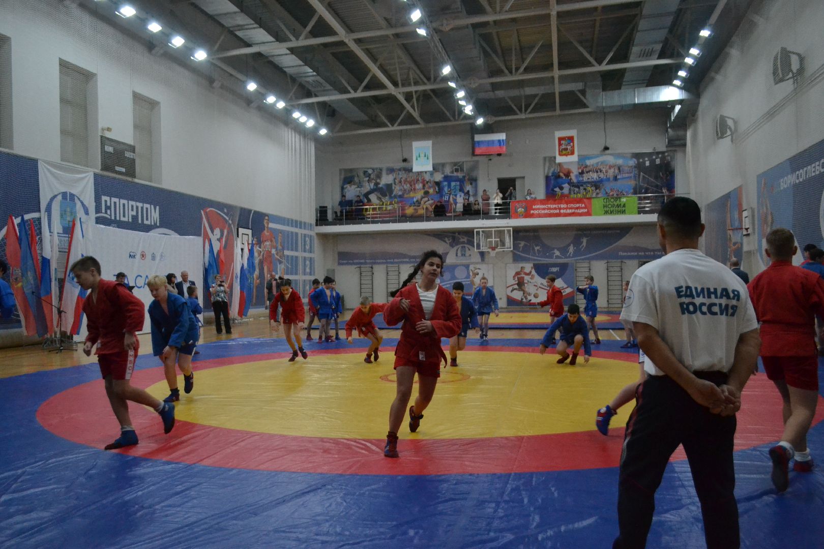 раменское, спорт, спорткомплекс борисоглебский, фестиваль к 85-летию самбо,