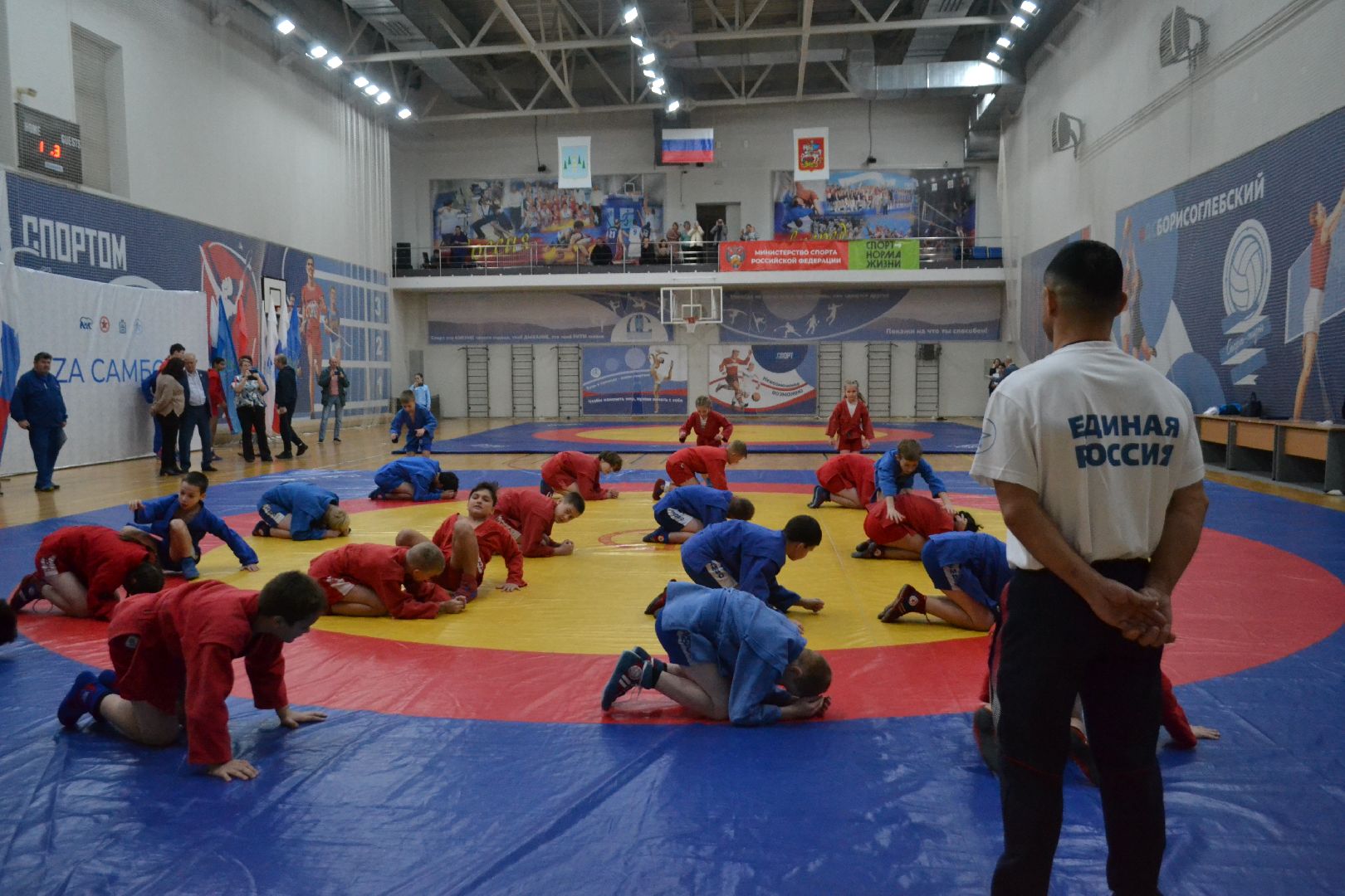 раменское, спорт, спорткомплекс борисоглебский, фестиваль к 85-летию самбо,
