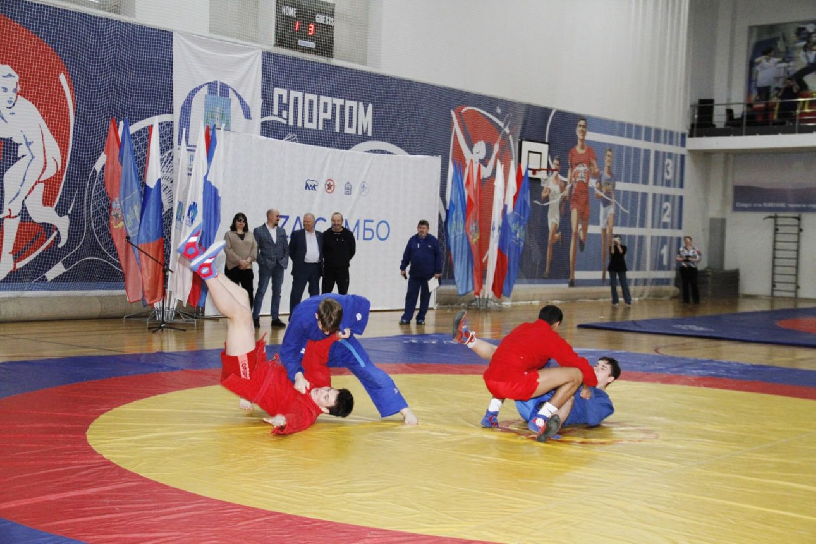 раменское, спорт, спорткомплекс борисоглебский, фестиваль к 85-летию самбо,