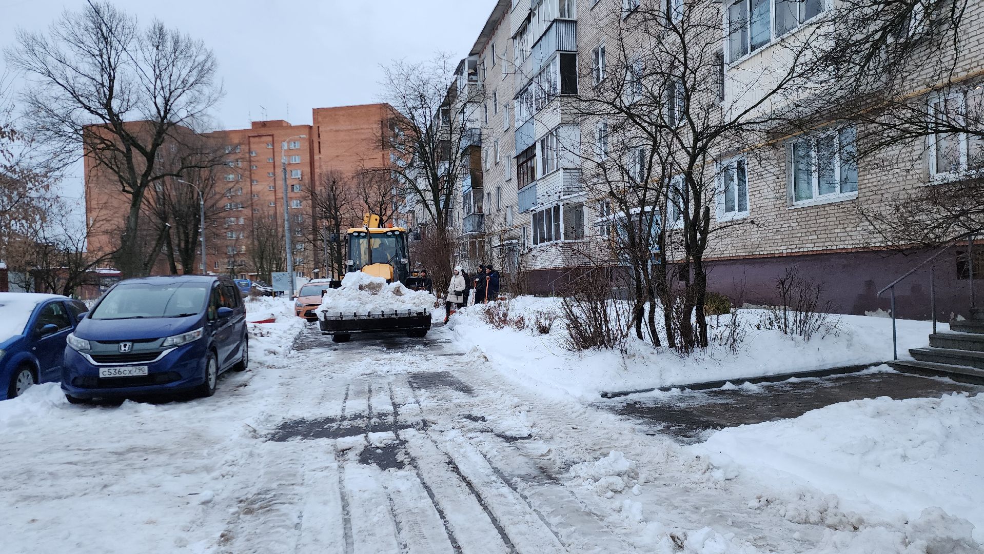 Подольск, Уборка, студенты,