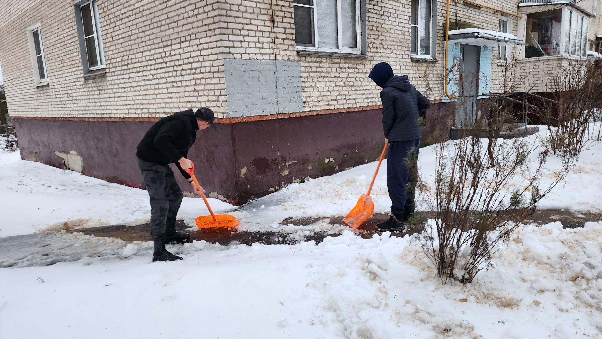 Подольск, Уборка, студенты,