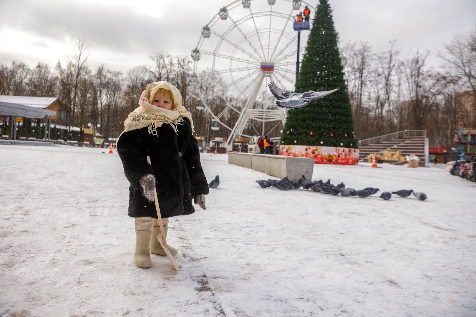 люберцы, наташинский парк, новогодняя елка,