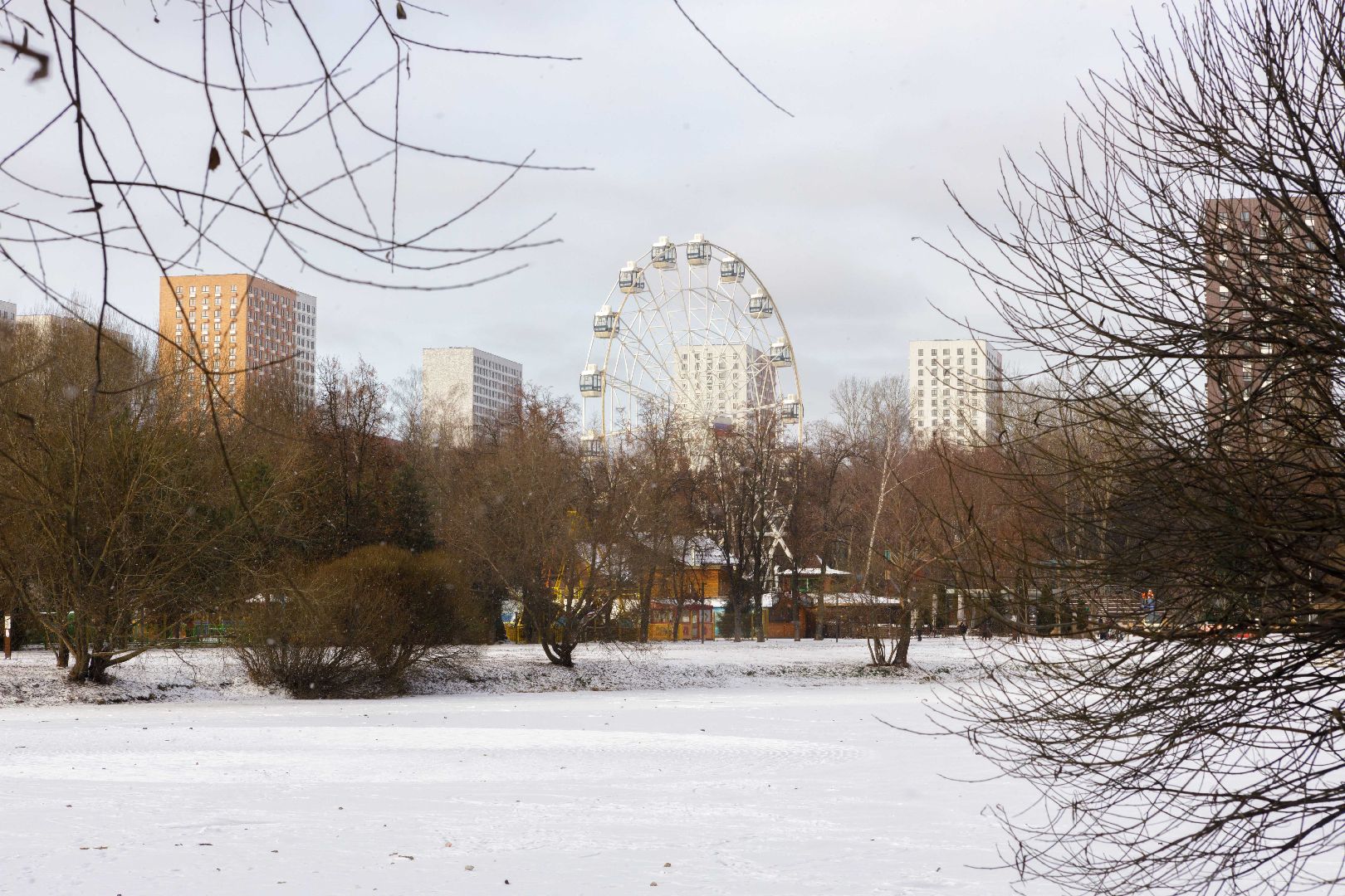 люберцы, наташинский парк, новогодняя елка,