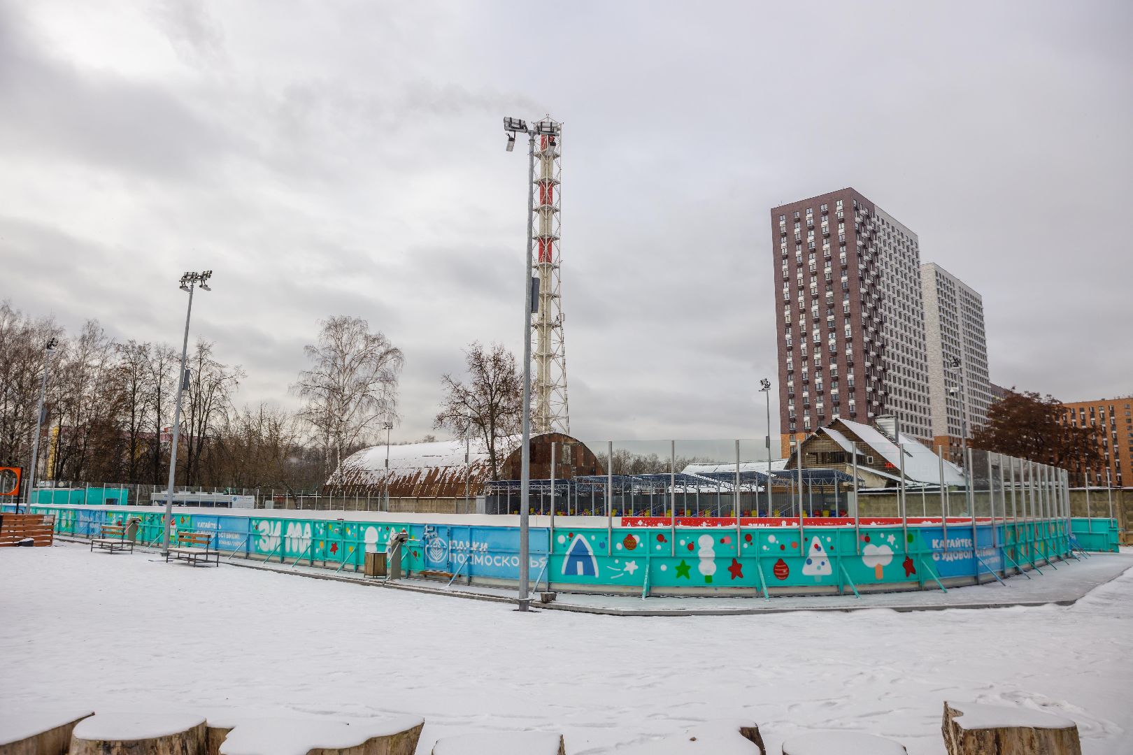 люберцы, наташинский парк, новогодняя елка,