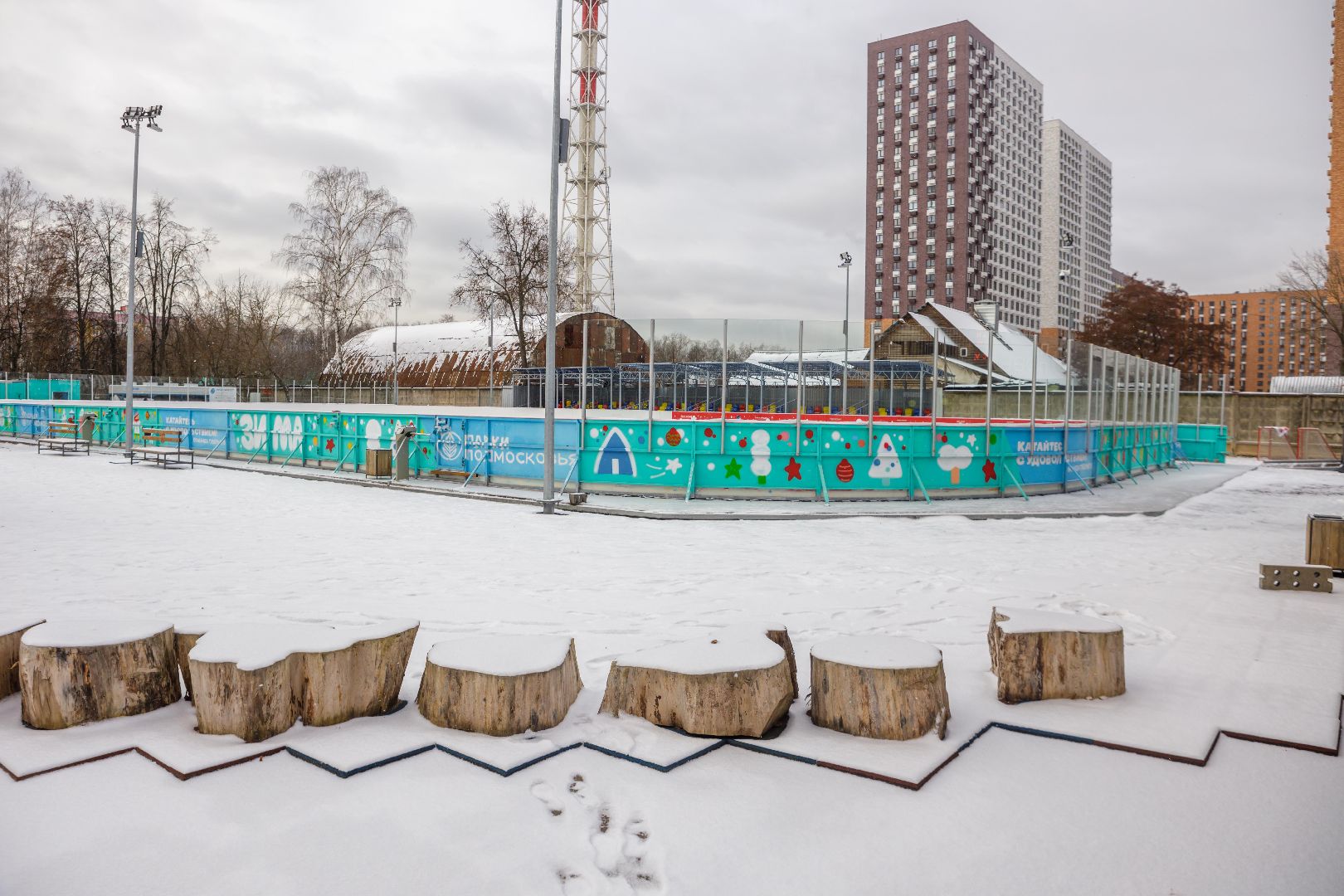 люберцы, наташинский парк, новогодняя елка,