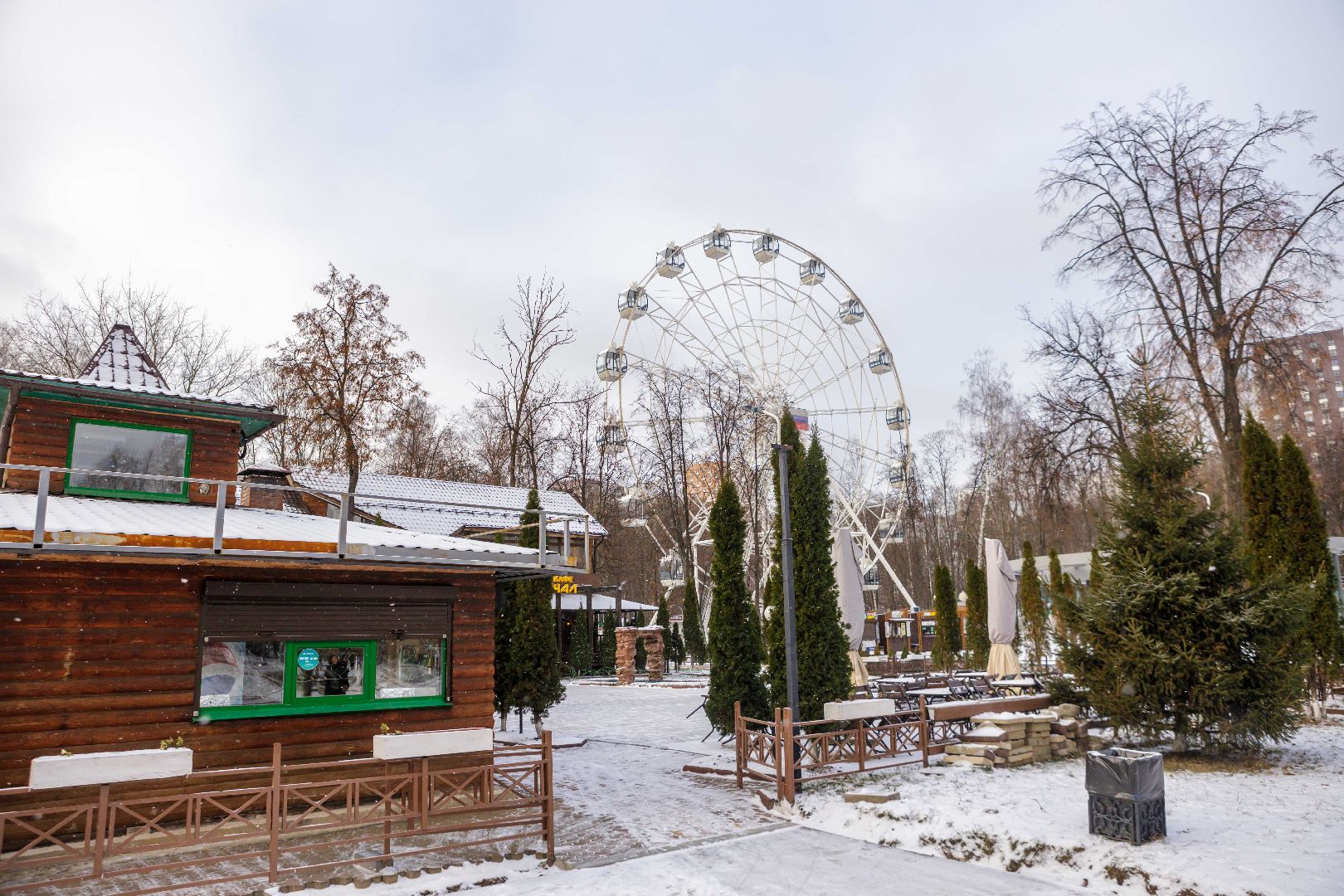 люберцы, наташинский парк, новогодняя елка,