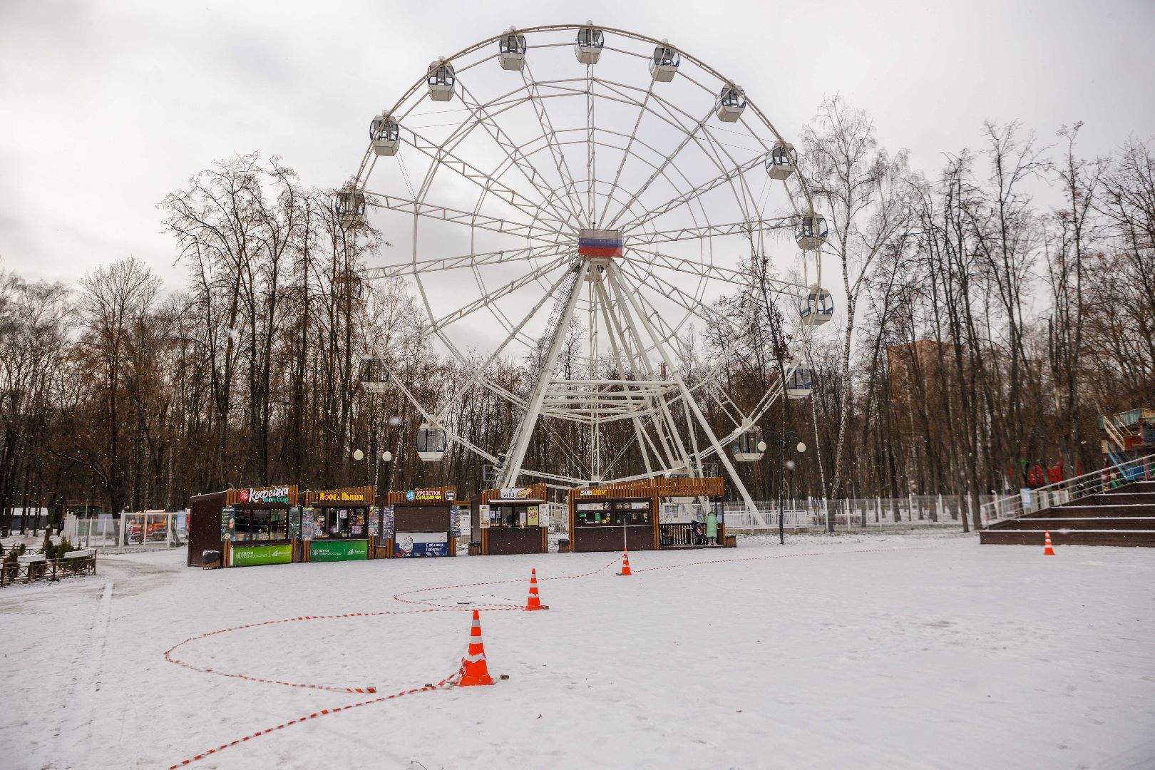 люберцы, наташинский парк, новогодняя елка,