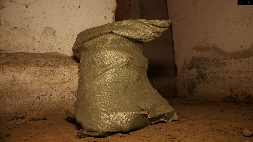 Дмитров, общество