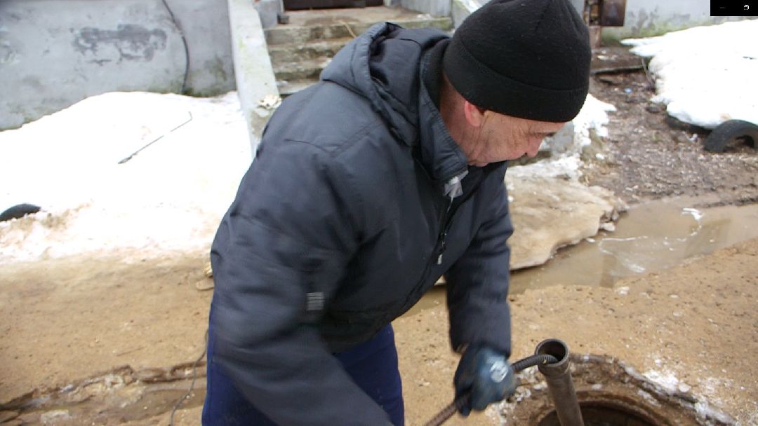 Дмитров, общество