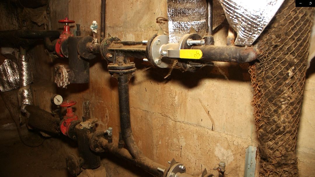 Дмитров, общество