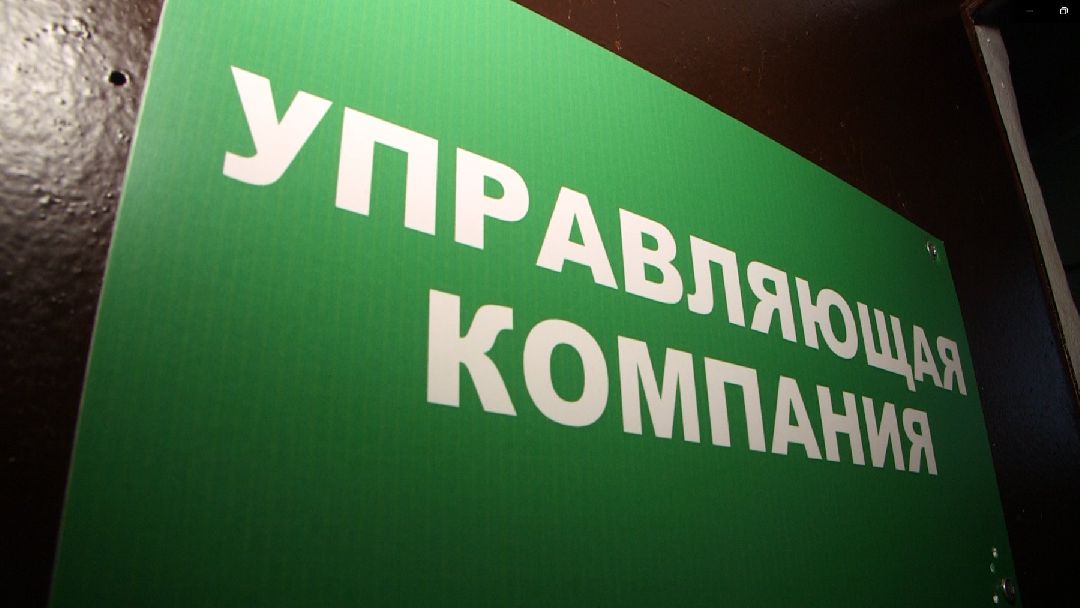 Дмитров, общество